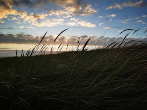 Ein grasbewachsenes Feld mit hohem Gras im Vordergrund und einem bewölkten Himmel im Hintergrund.