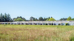 A row of single-story buildings with a flat roof, likely a motel or campground, set in a grassy field with trees in the background. - 4 Person Holiday Home in Romo (Rømø)