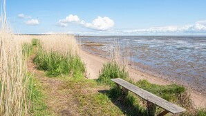 A beach with a wooden bench and tall grass. - 4 Person Holiday Home in Romo (Rømø)