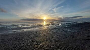 Căn hộ | Bãi biển