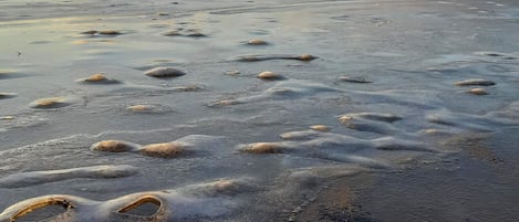 單棟房屋 | 水景