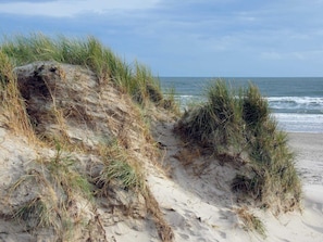 House | Beach