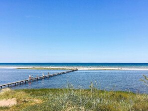 A beach with a wooden pier extending into the water, surrounded by grassy dunes.