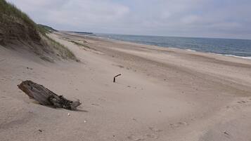A sandy beach with a large log and sparse vegetation.