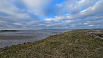 A coastal landscape with a grassy foreground, a body of water, and a cloudy sky.