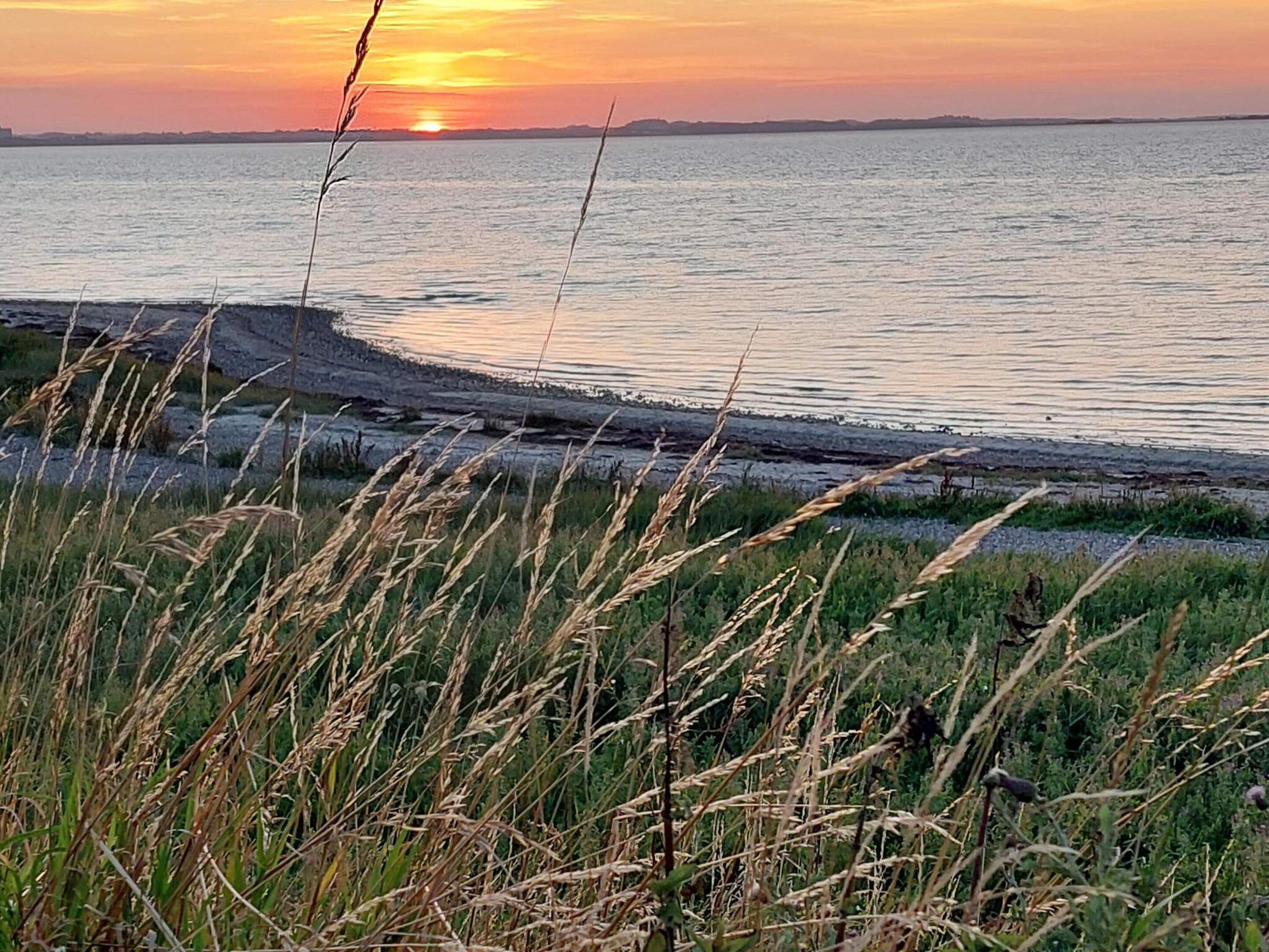 A sunset over a calm body of water with a grassy foreground.