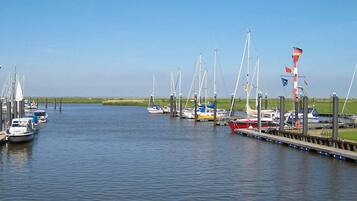 House | View from property