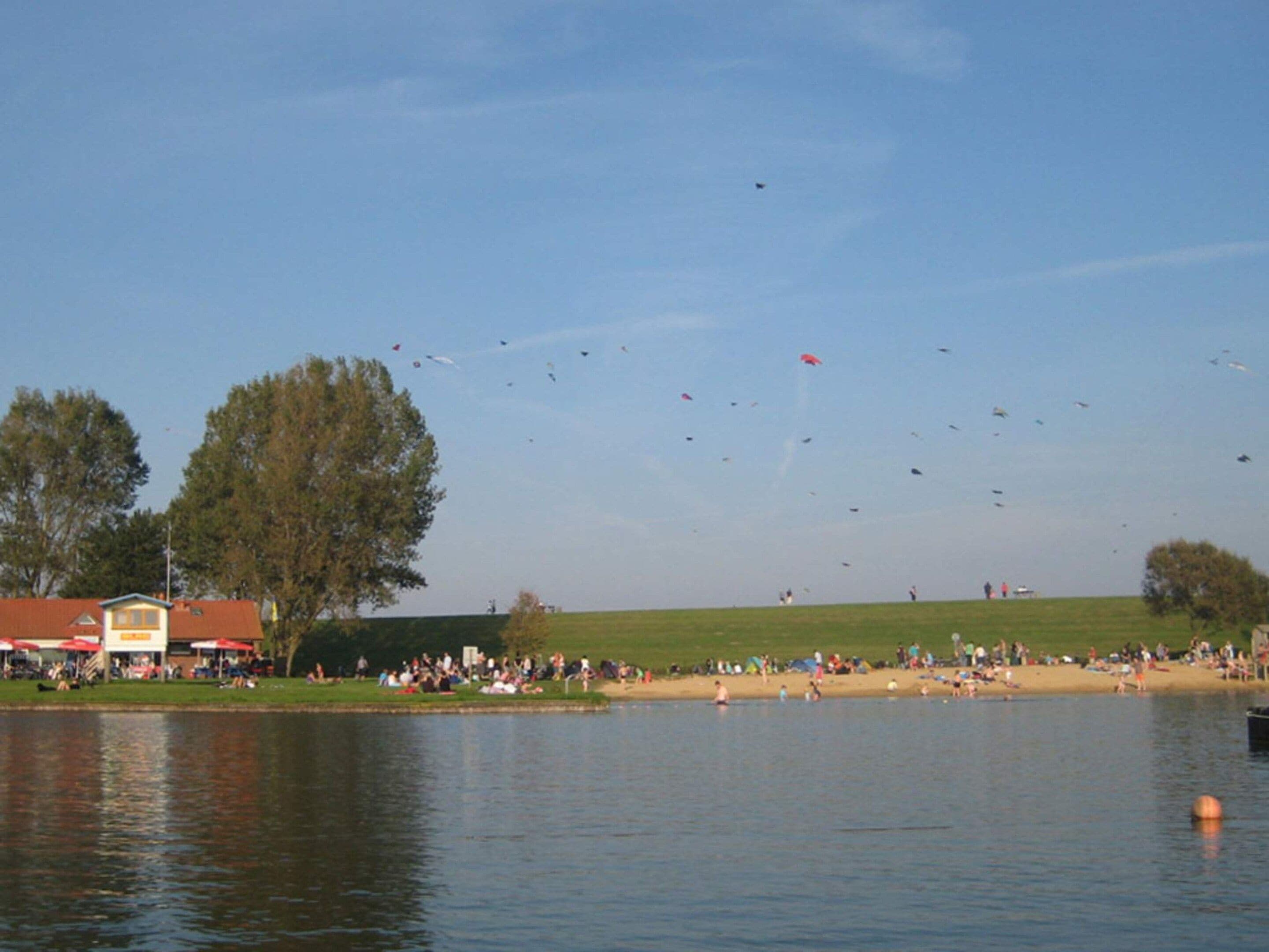 A lakeside view with a grassy area, trees, and a building with a red roof.