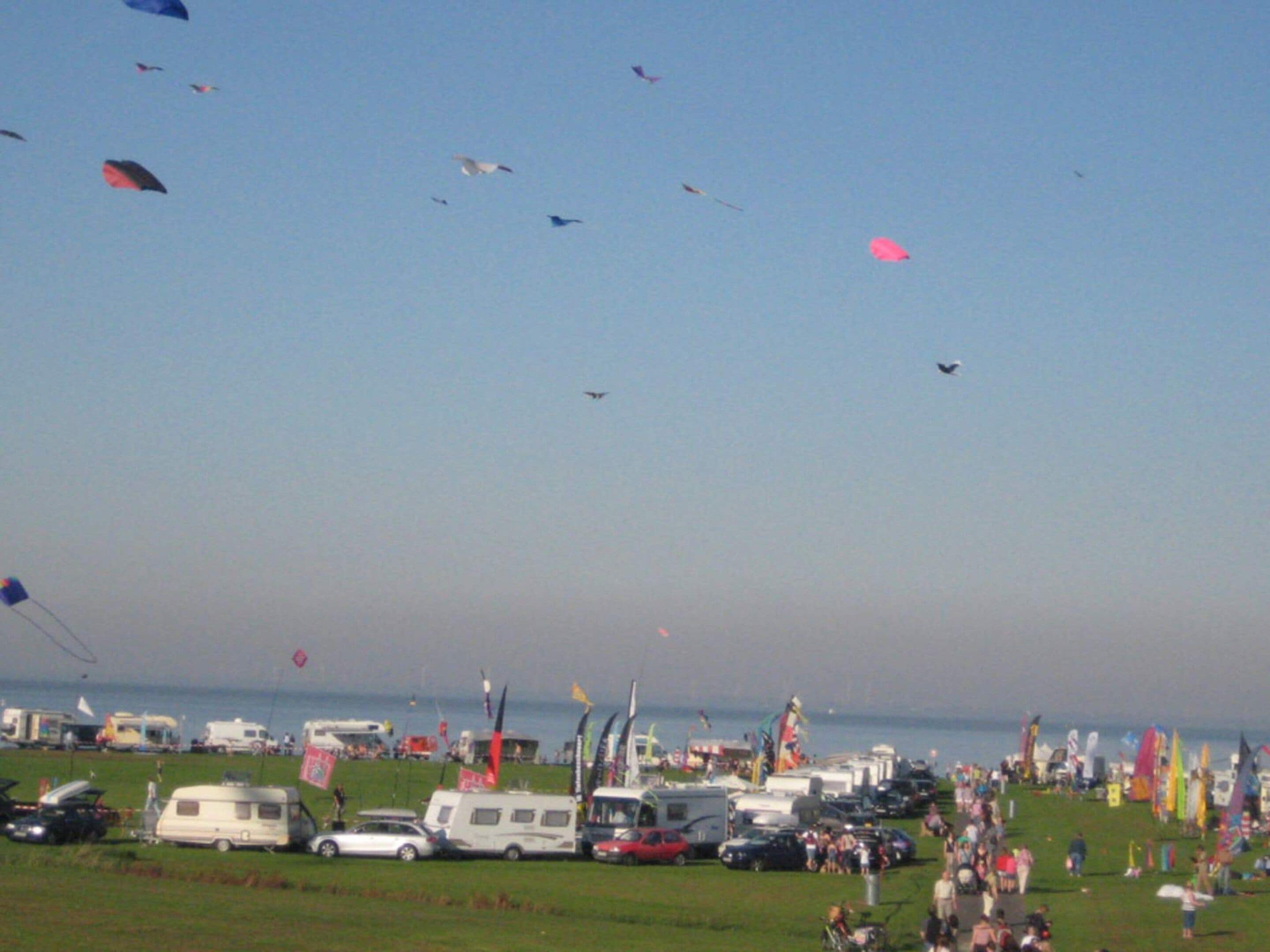 A crowded outdoor event with multiple vehicles and flags, and a clear sky.