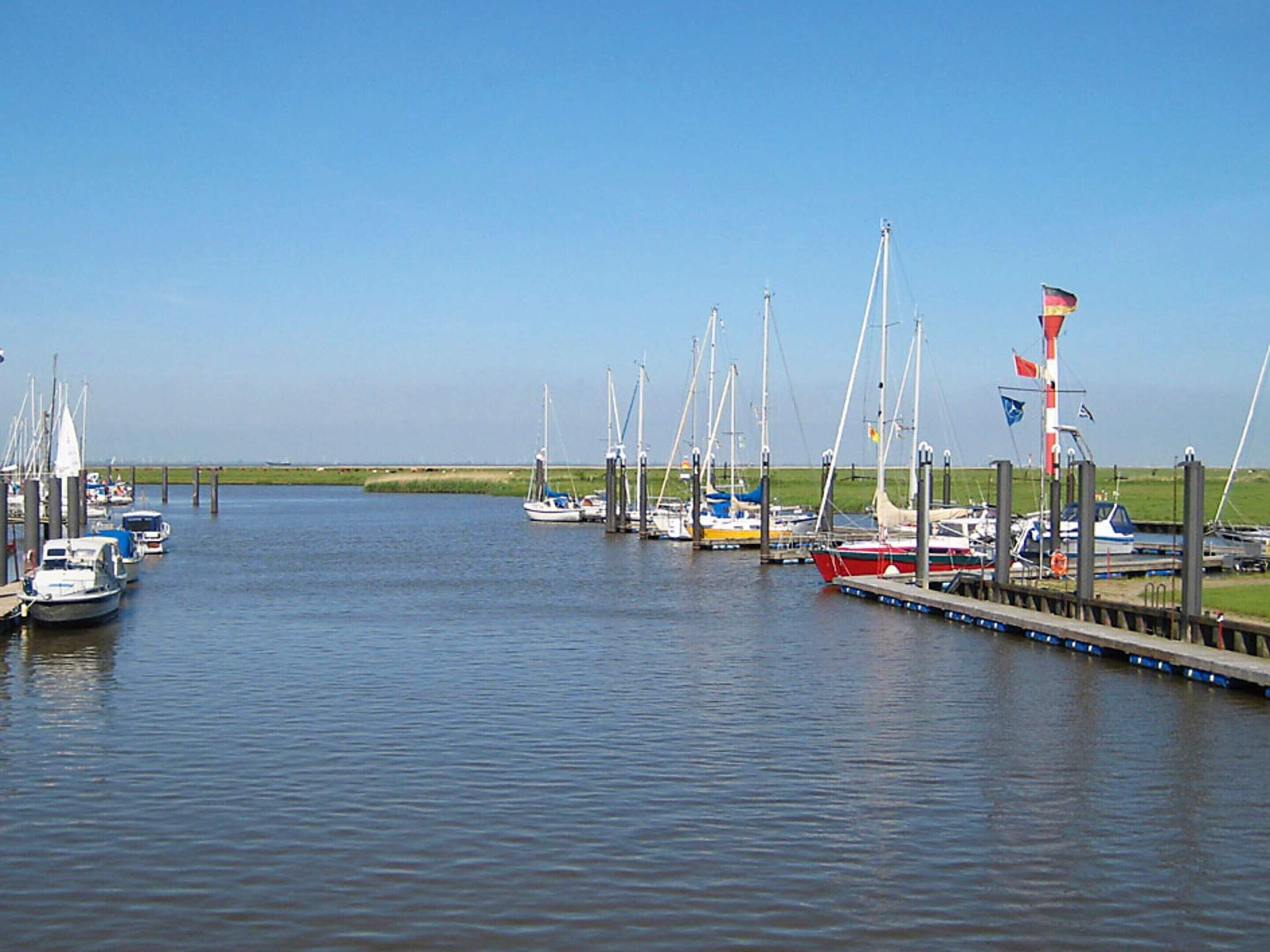 A marina with multiple boats docked, a grassy shoreline, and a clear sky.