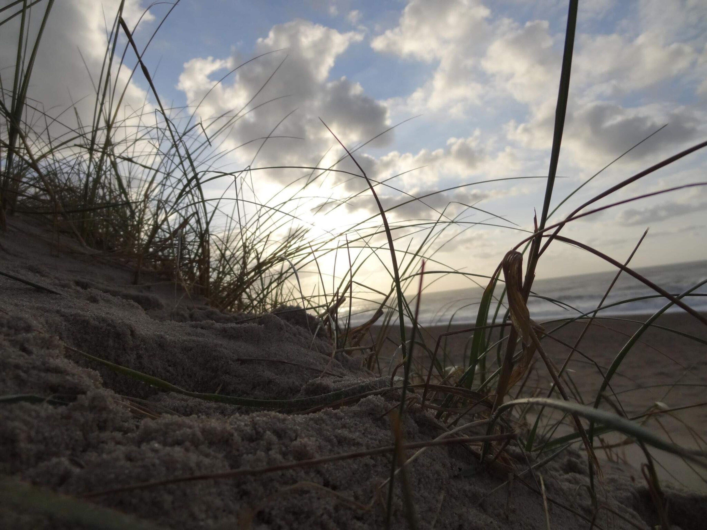 Une plage avec des dunes de sable et une végétation clairsemée.
