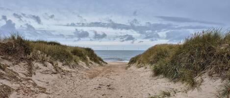 House | Beach