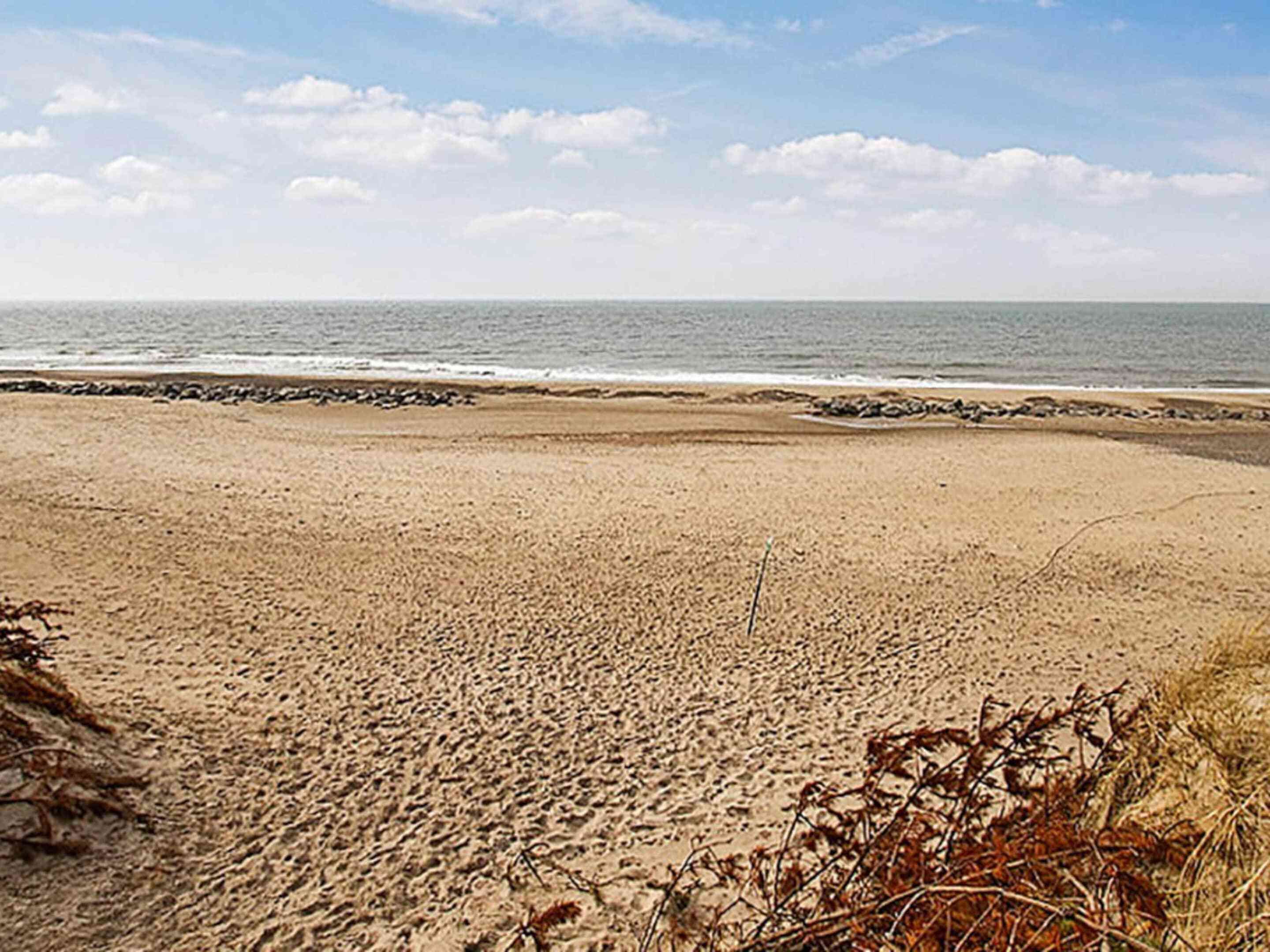 Casa | Vista dalla struttura