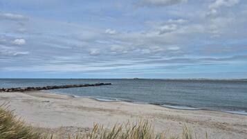 A beach with a rocky breakwater, sandy shore, and grassy dunes.