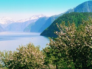 A lake surrounded by mountains and trees. - 6 Person Holiday Home in Norddal (Fjord)