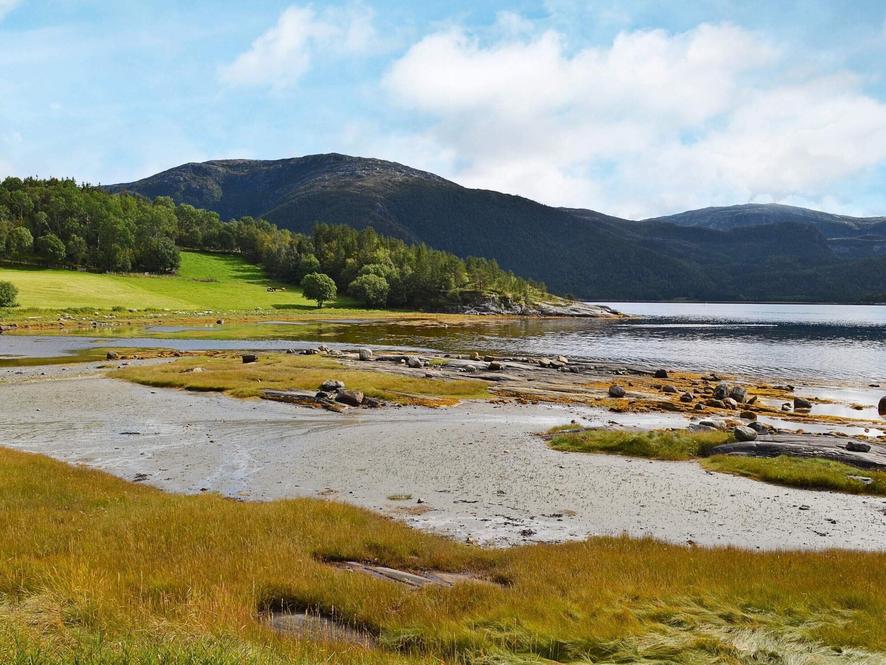 Un paisaje natural con un lago, zonas de hierba y montañas al fondo.