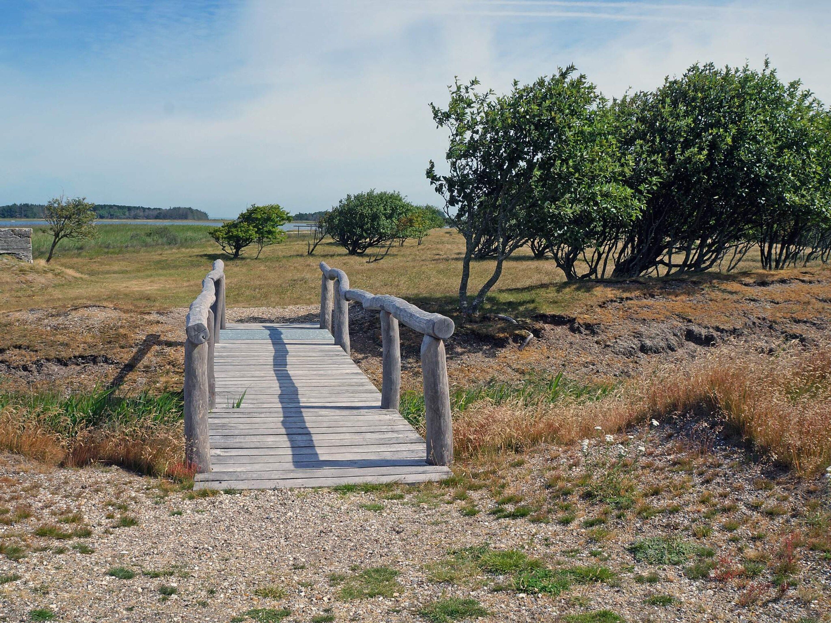 A wooden pathway leading to a natural area with trees and a body of water in the distance.