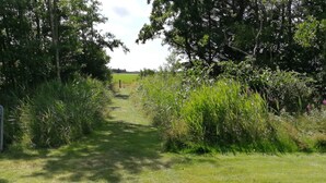Ein schmaler, grasbewachsener Pfad, gesäumt von dichter Vegetation und Bäumen, der zu einem weit entfernten Feld führt.