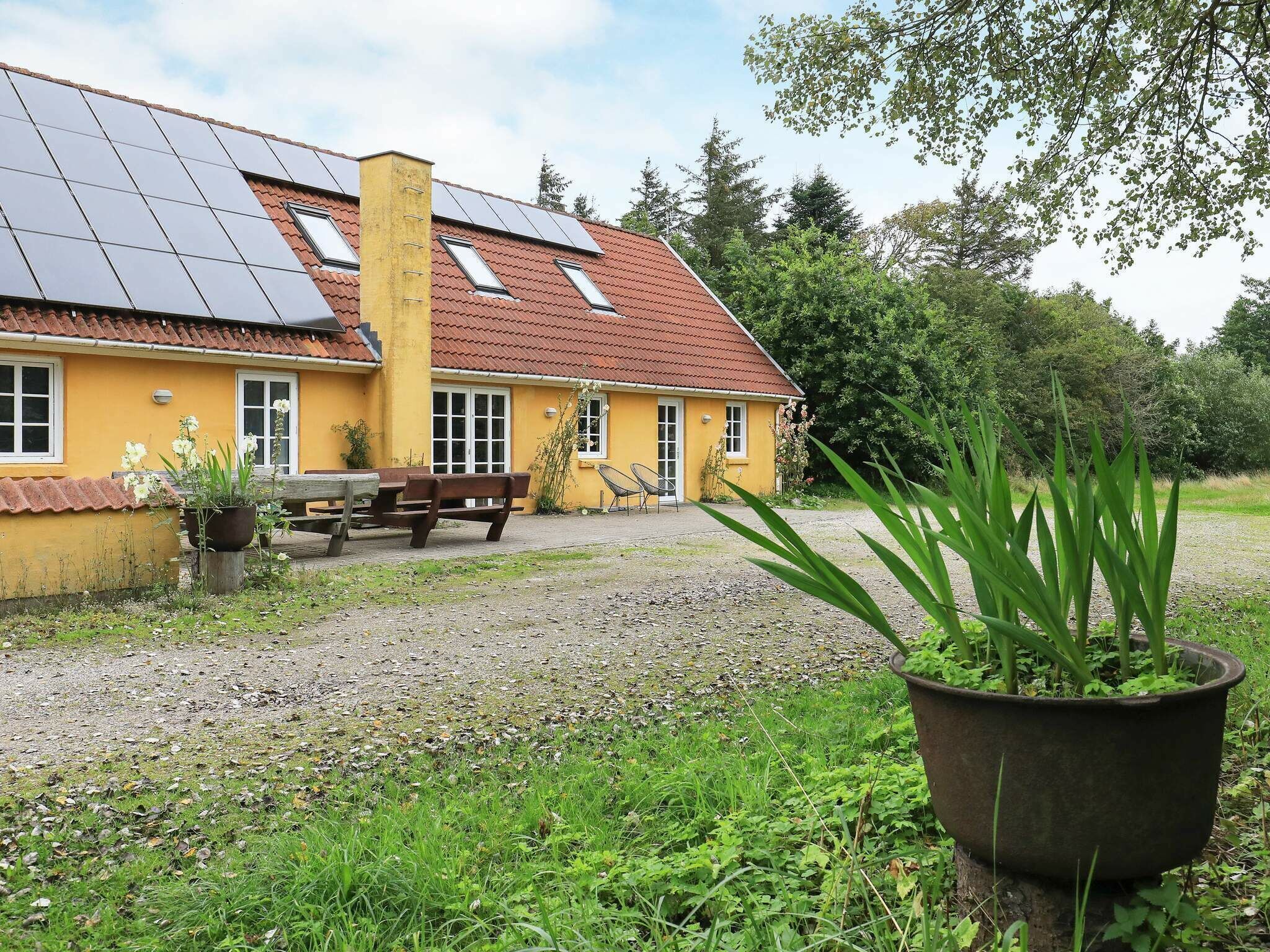 Udendørsområde