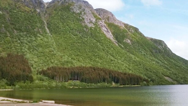 Un lac avec une montagne boisée en arrière-plan.
