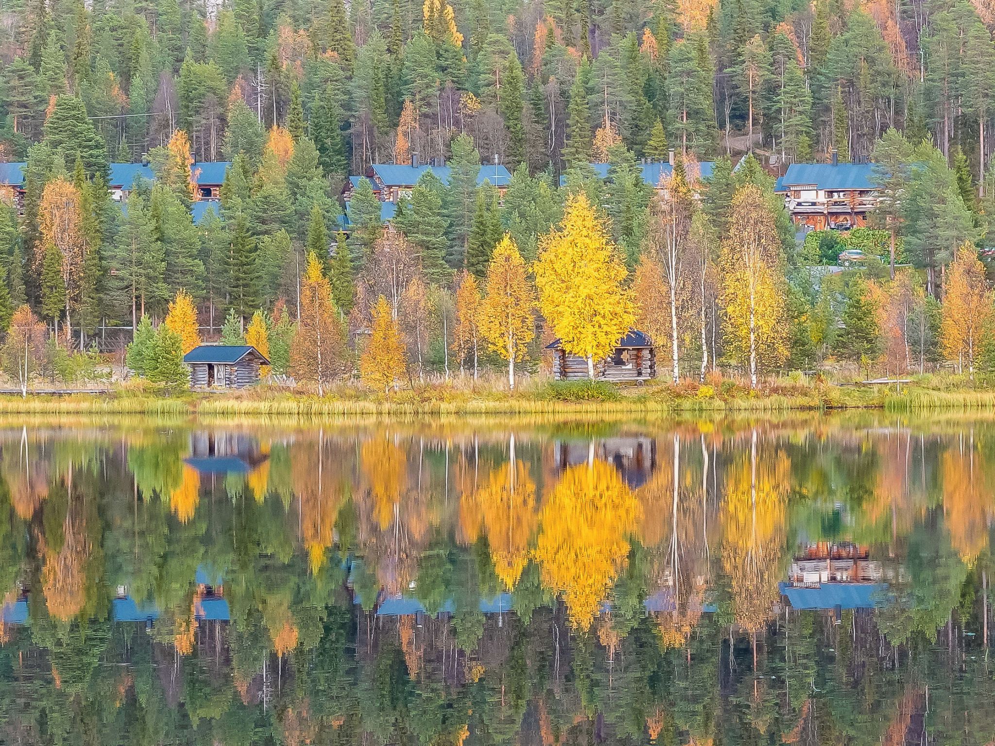 Una escena tranquila junto al lago con cabañas y un bosque denso.