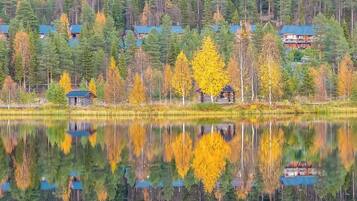 Una escena tranquila junto al lago con cabañas y un bosque denso.