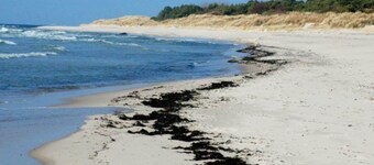 Modern Retreat With Spa - By Traum Ferienwohnungen