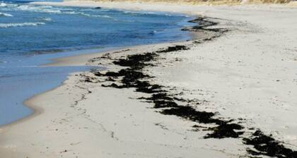 Modern Retreat With Spa - By Traum Ferienwohnungen