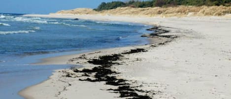 House | Pemandangan dari hartanah