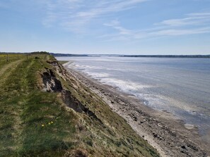 Eine Küstenlandschaft mit einem grasbewachsen Pfad, der zu einem Sandstrand führt.