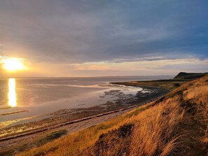 A coastal landscape with a sunset, a beach, and grassy terrain.
