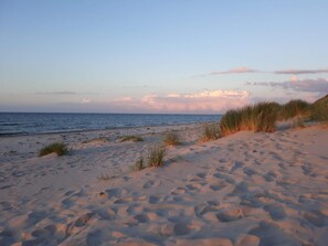 Une plage de sable avec des dunes et une mer calme sous un ciel dégagé.