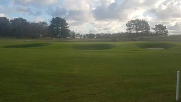 A golf course with well-maintained grass, sand bunkers, and trees in the background.