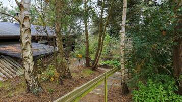 House | View from property