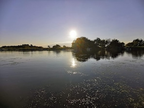 A calm body of water reflecting the sun, surrounded by trees and a clear sky.