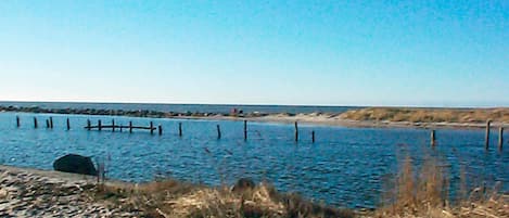 Vista desde la propiedad