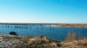 House | View from property