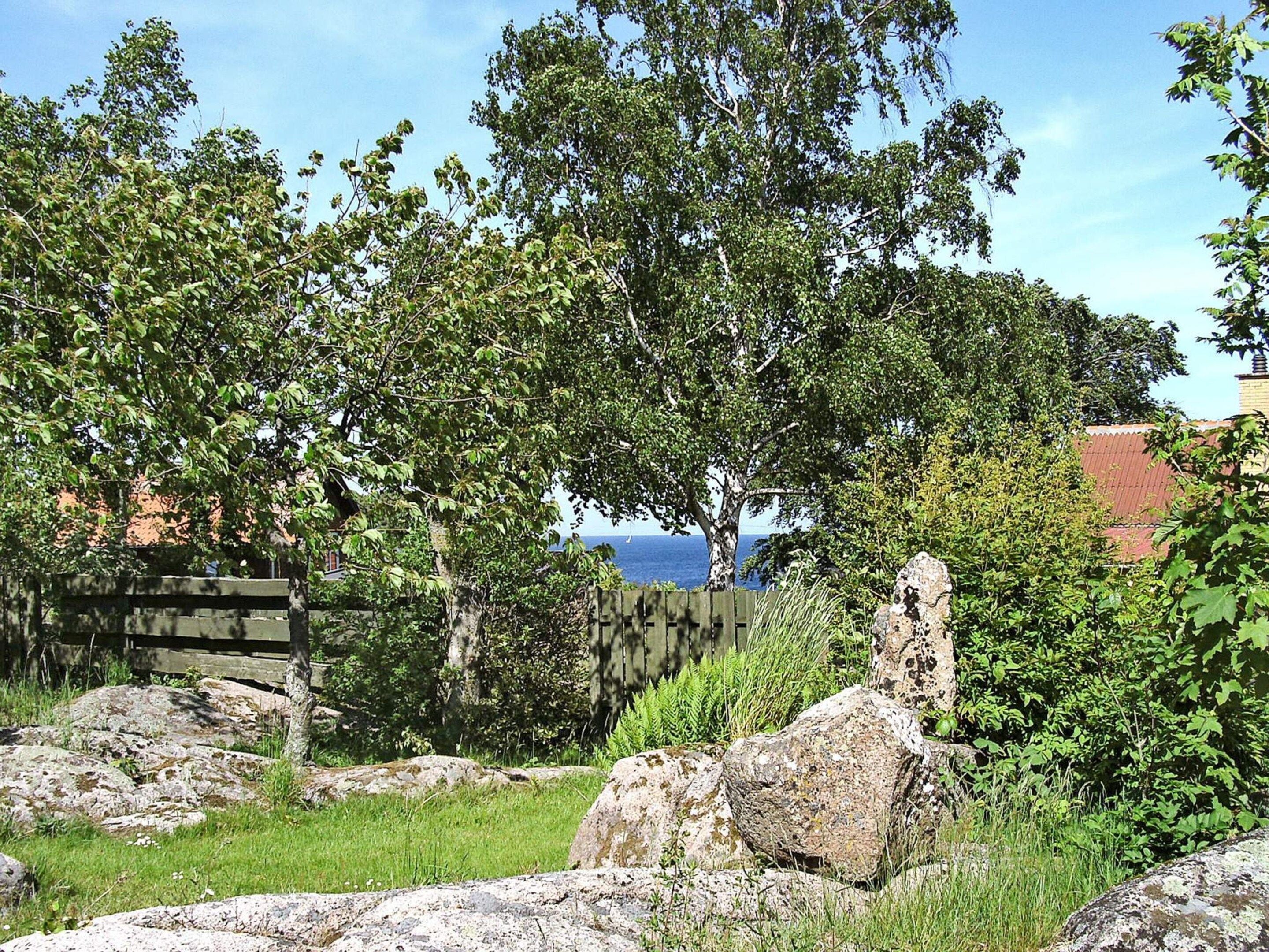 Un paisaje natural con árboles, rocas y una valla de madera.