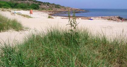 Spacious Holiday Home in Allinge Bornholm near Sea