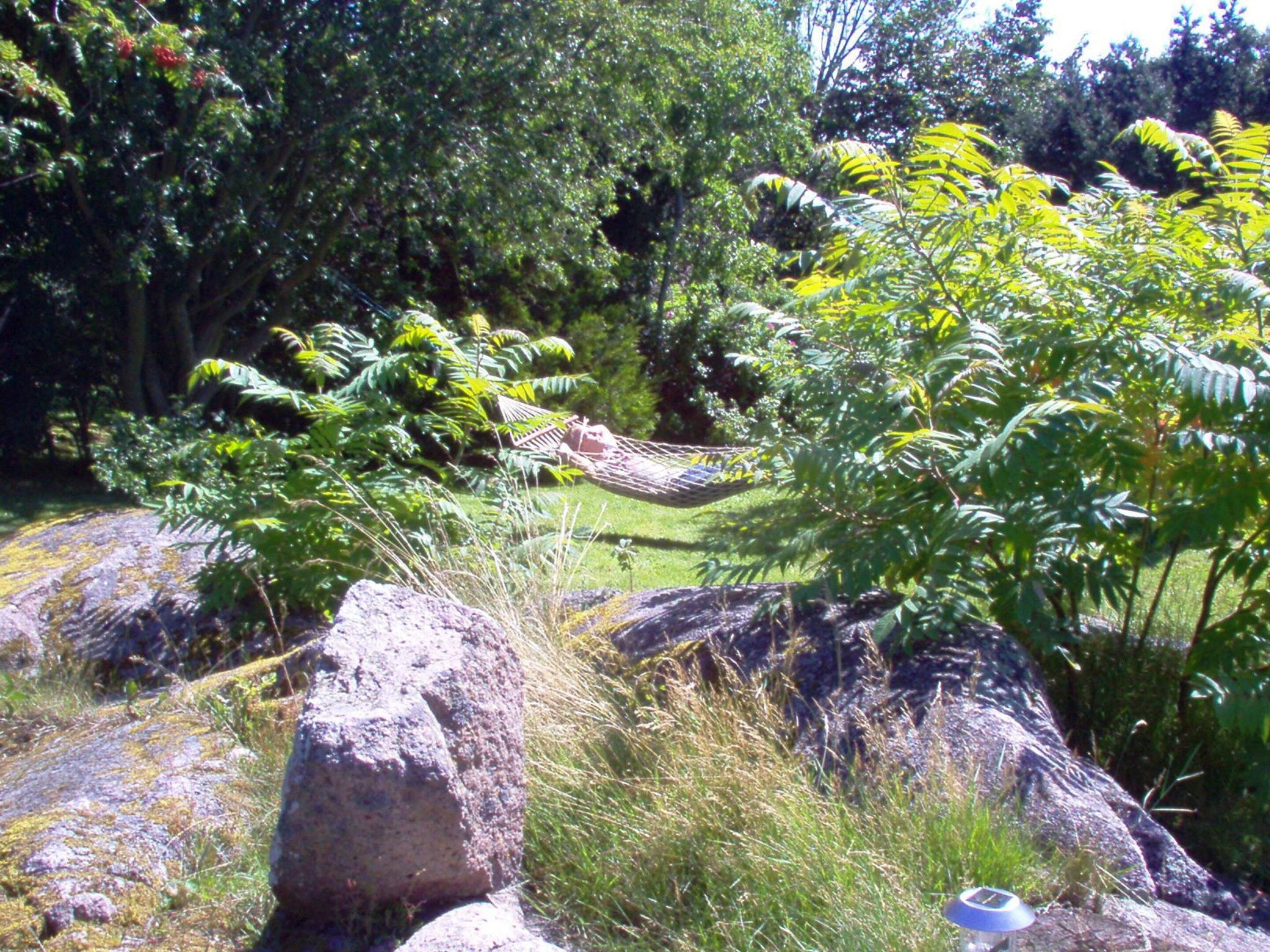 A garden with a hammock, rocks, and dense foliage.