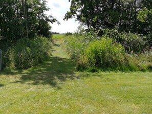 A narrow, grassy path flanked by dense vegetation and trees, leading to a distant field. - Luxury Spa Retreat in Bork (Hemmet)