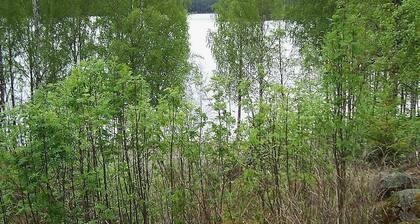 4 Person Holiday Home in Östmark