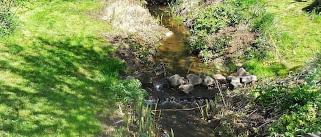 House | Property grounds