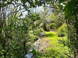 Eine natürliche Landschaft mit einem Bach, dichtem Grün und einer kleinen Brücke.