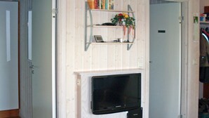 Huoneessa on televisio, joka on kiinnitetty puiseen seinään, pieni hylly, jossa on kirjoja ja kukka, ja ovi vasemmalla puolella.