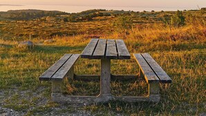 A wooden picnic table in a grassy field with a view of the horizon. - 7 Person Holiday Home in Knebel (Knebel)