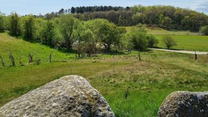 Un paysage rural avec un champ d’herbe, des arbres et un sentier de terre.