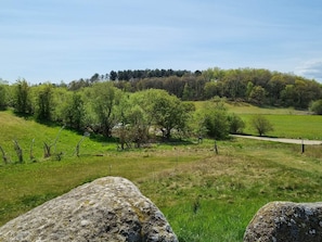 A rural landscape with a grassy field, trees, and a dirt path. - 7 Person Holiday Home in Knebel (Knebel)