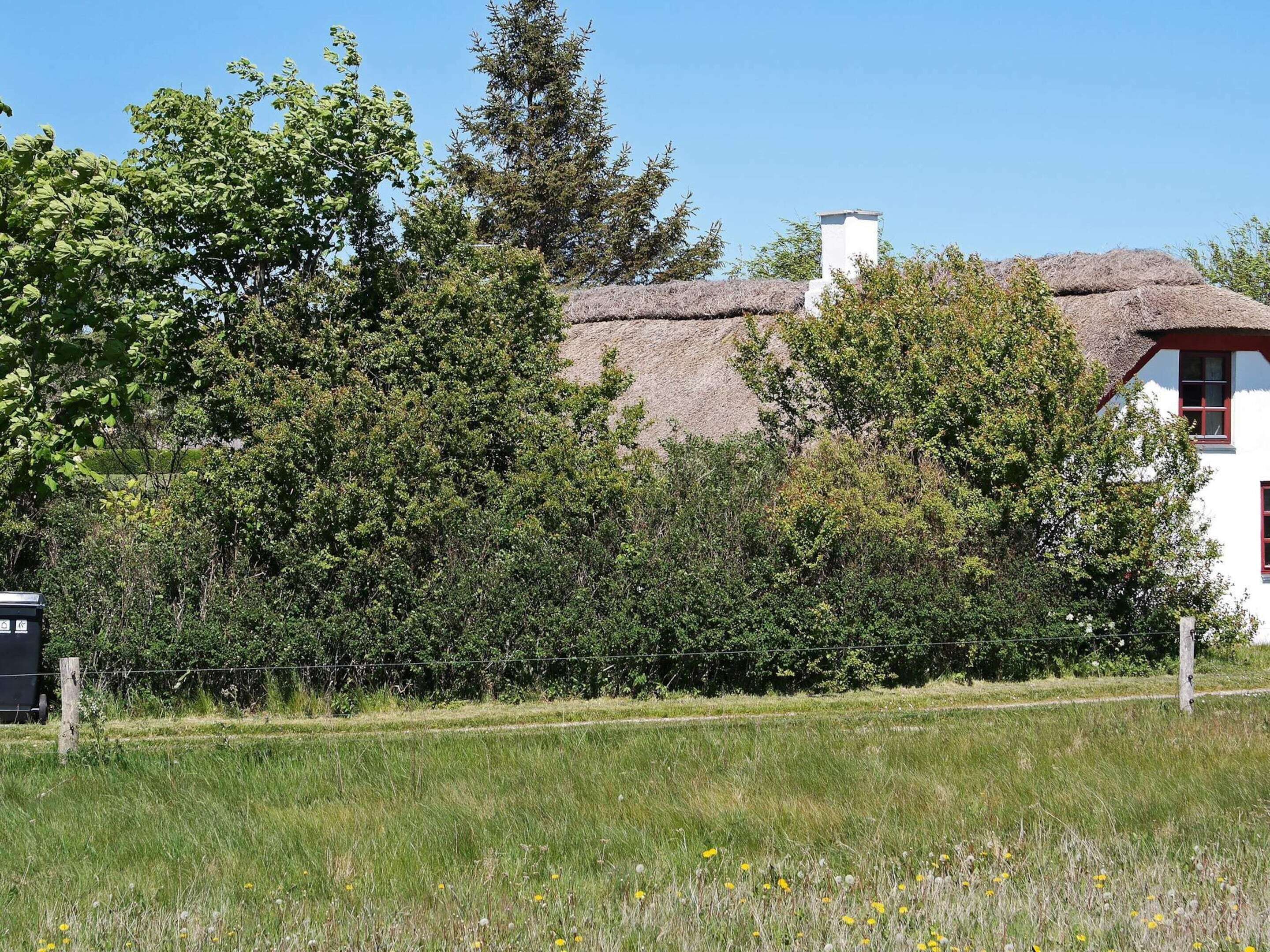 House | Property grounds