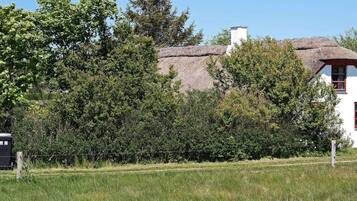 House | Property grounds
